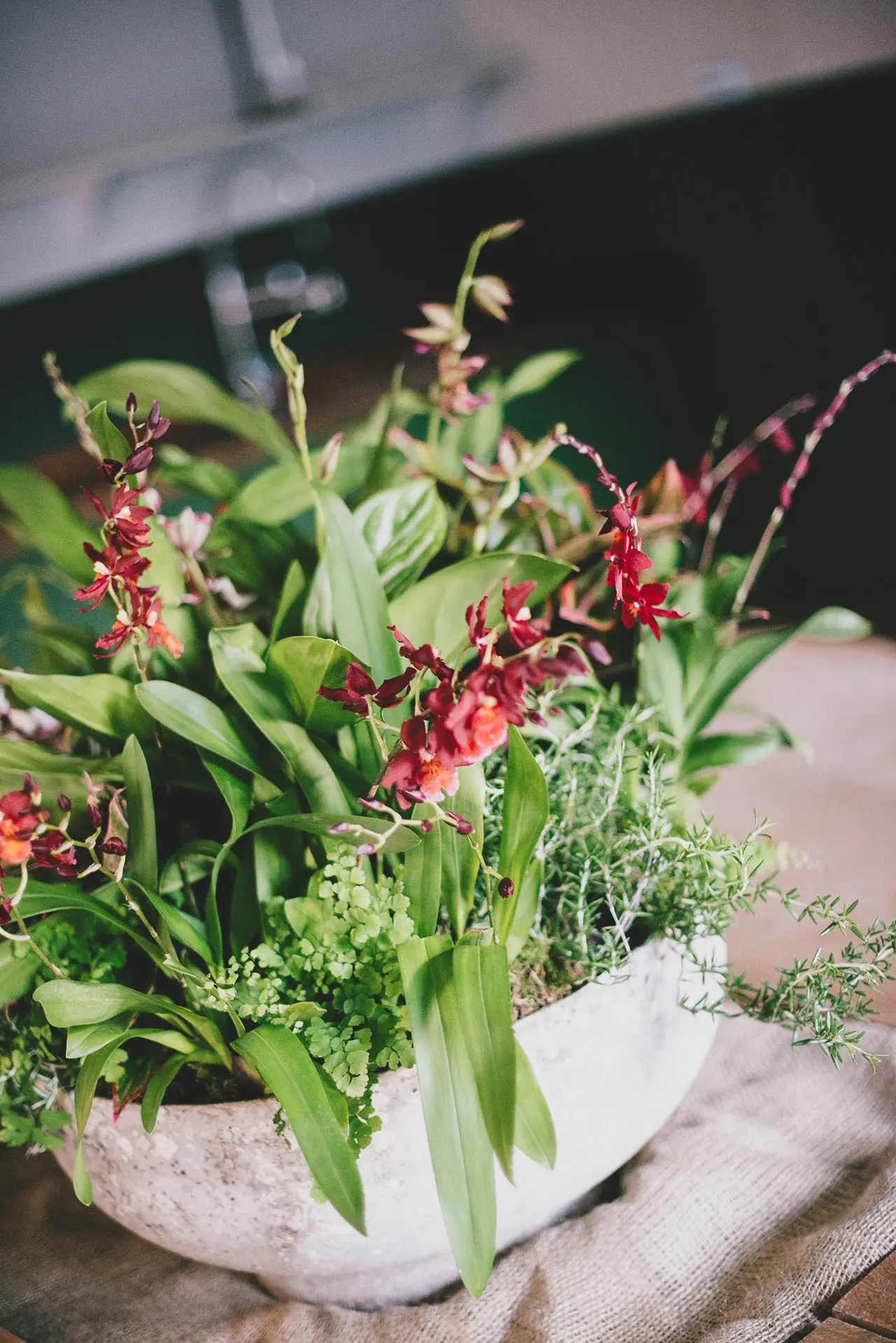 Tropical influenced dinner at Bourne & Hollingsworth 4