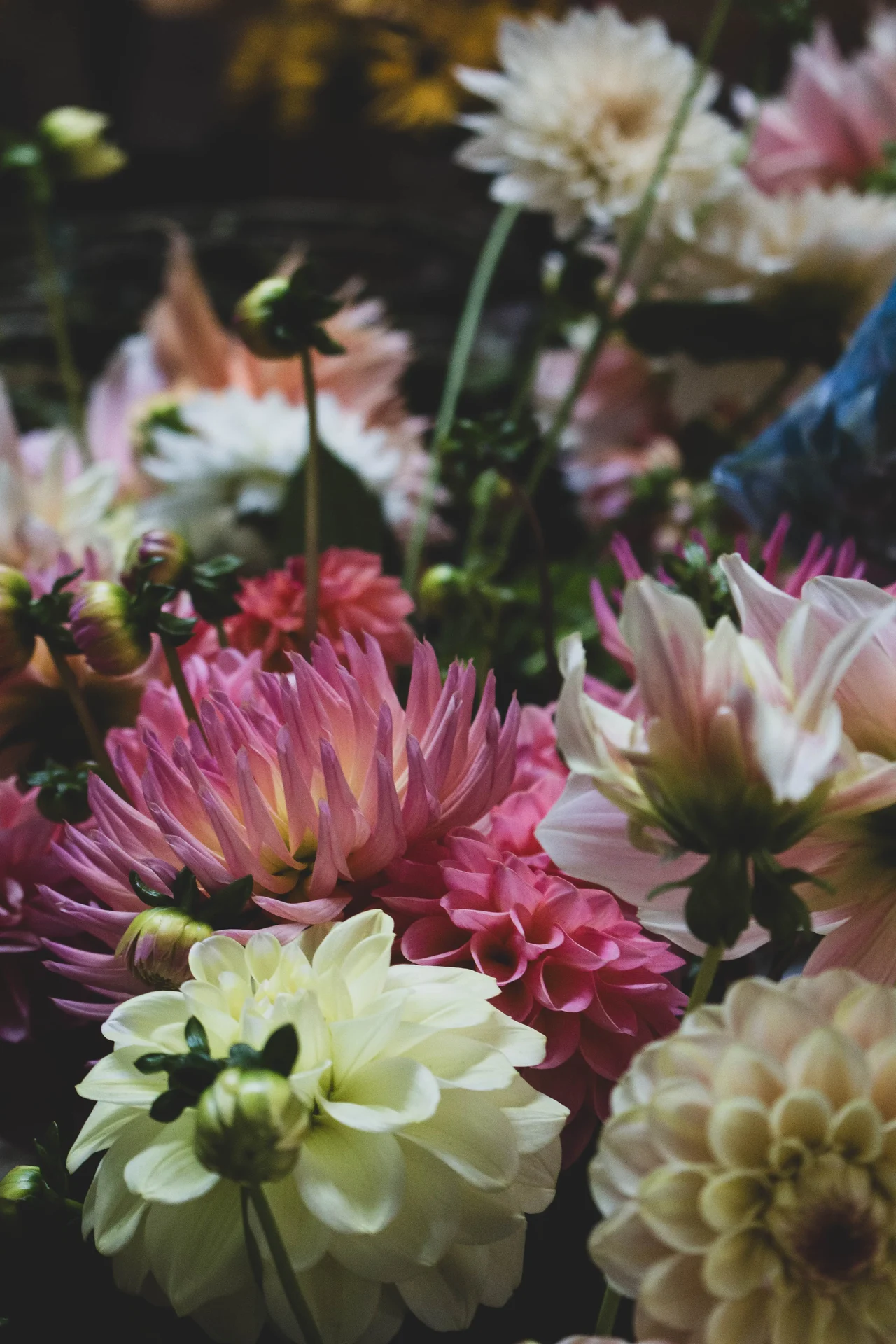 Autumnal wedding at Trevenna barns