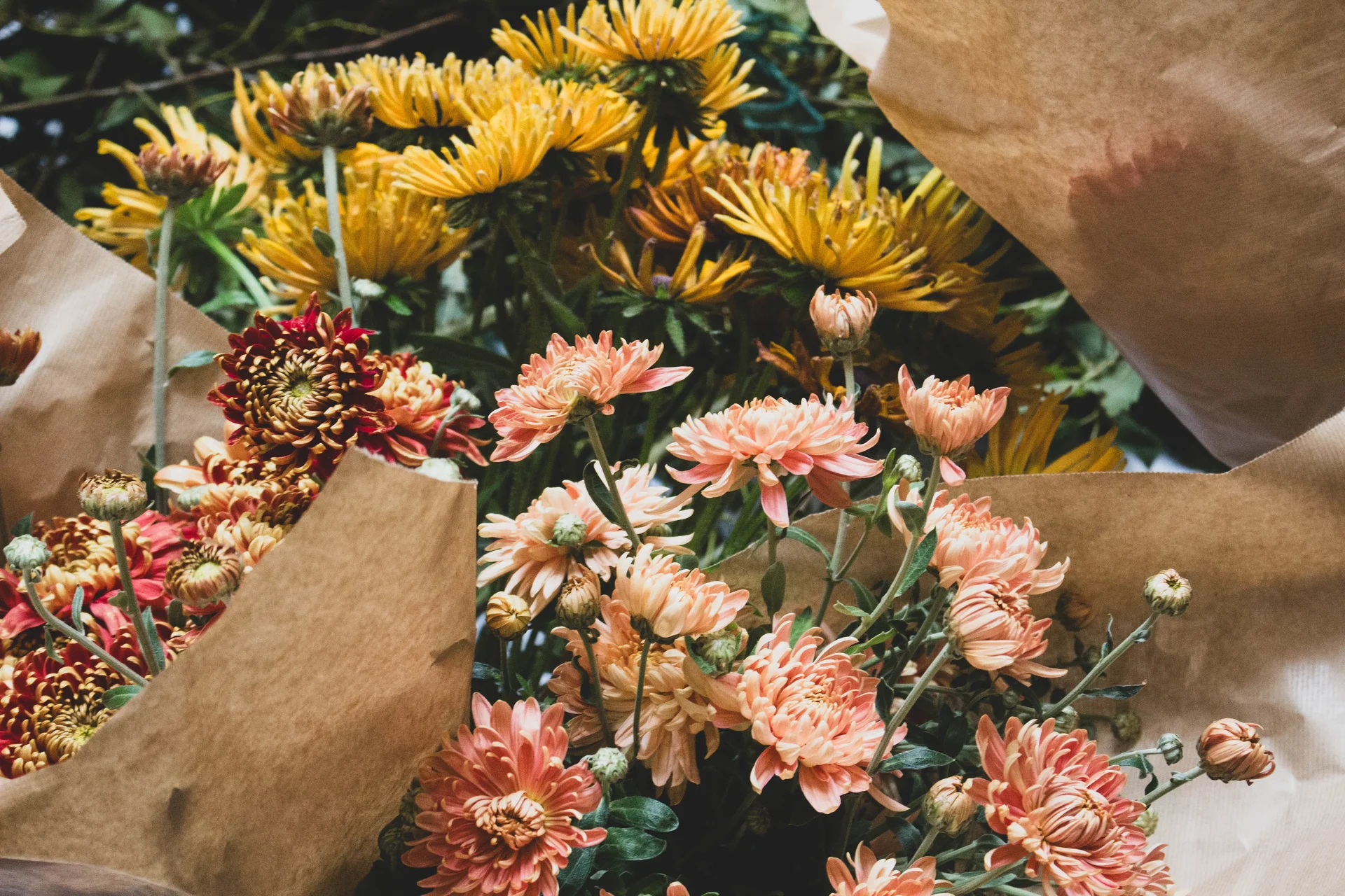 Autumnal wedding at Trevenna barns 4