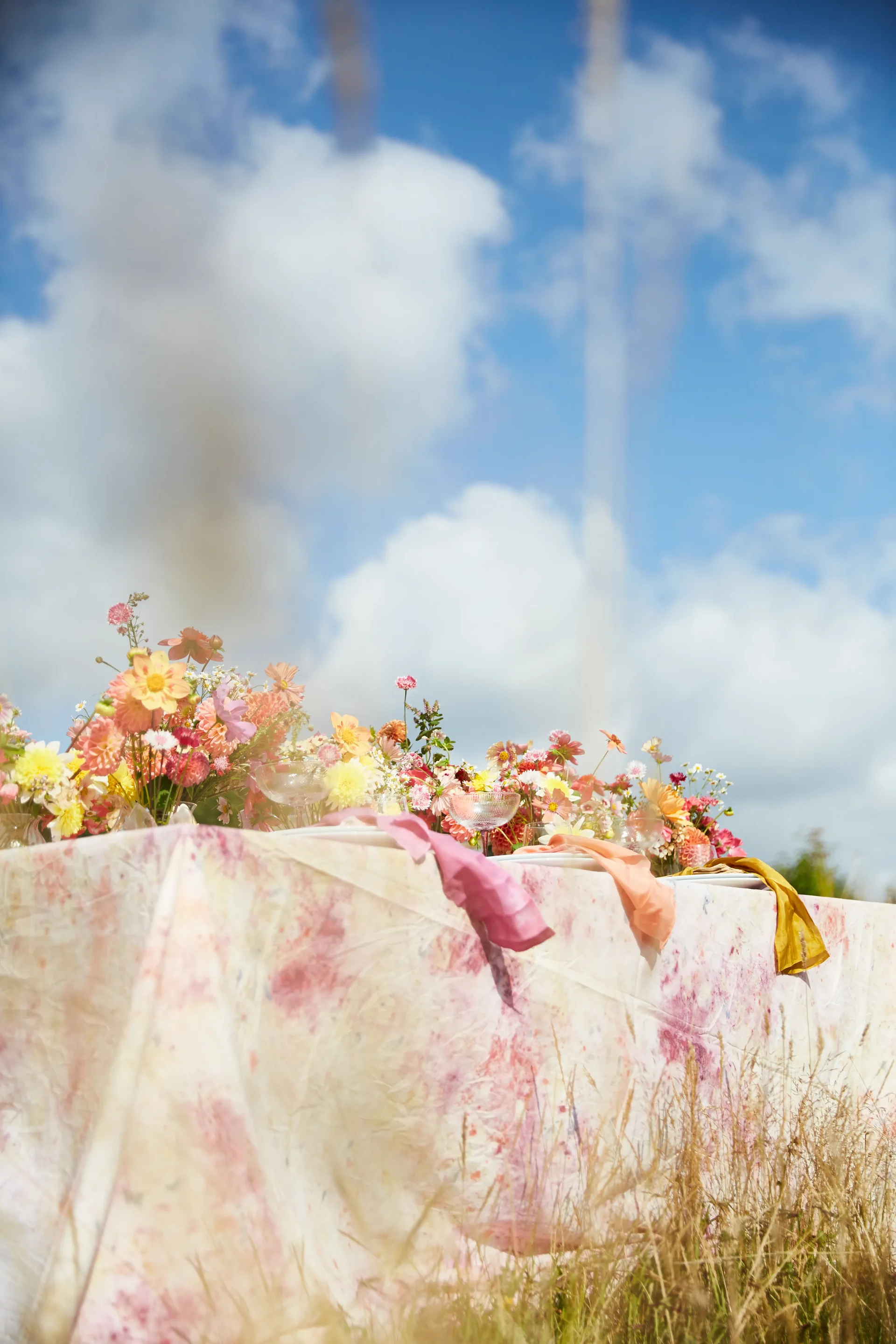 Pemboa Flower Farm Collaboration 9