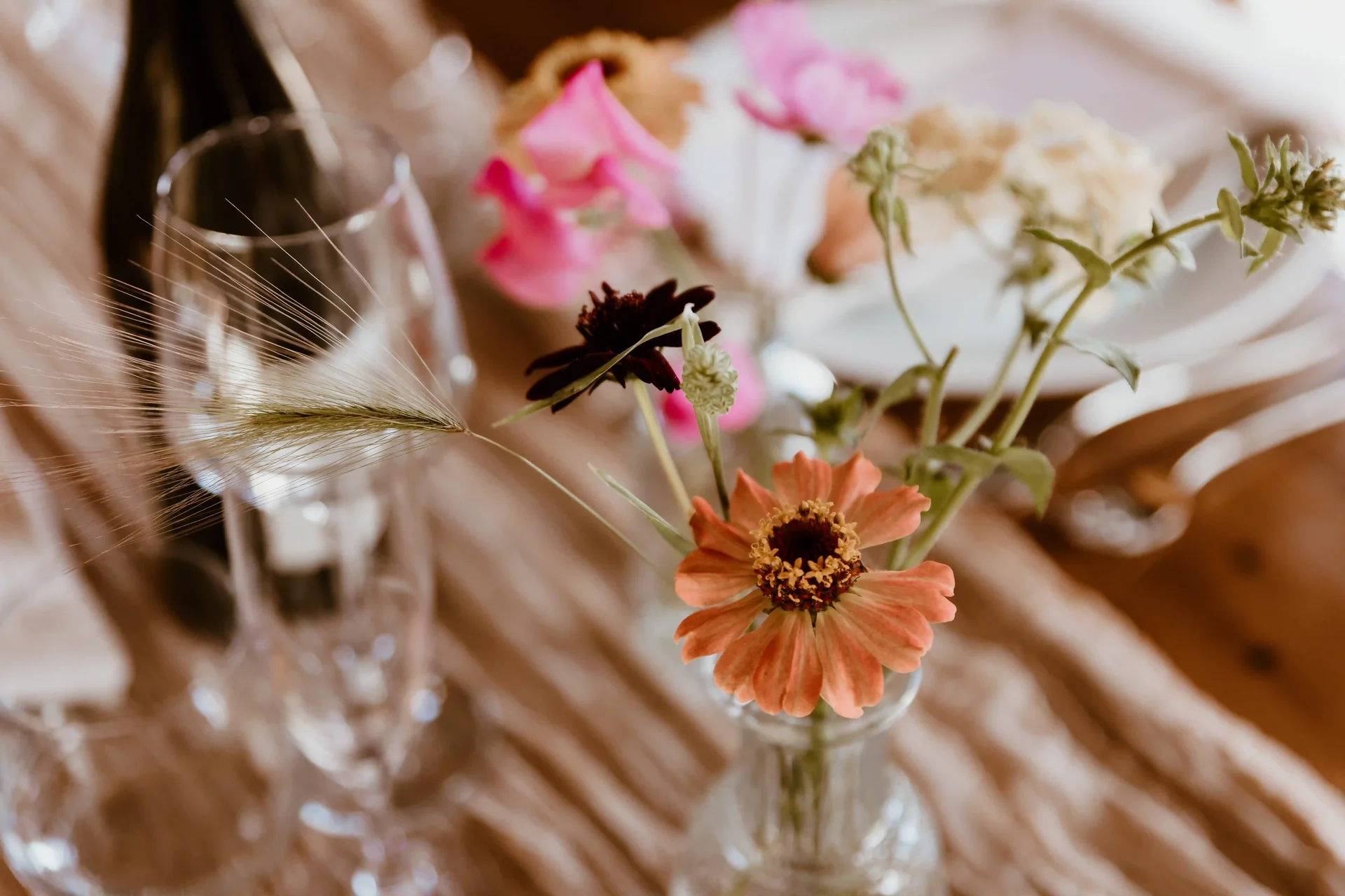 Summer wedding at Woolas Barn 5