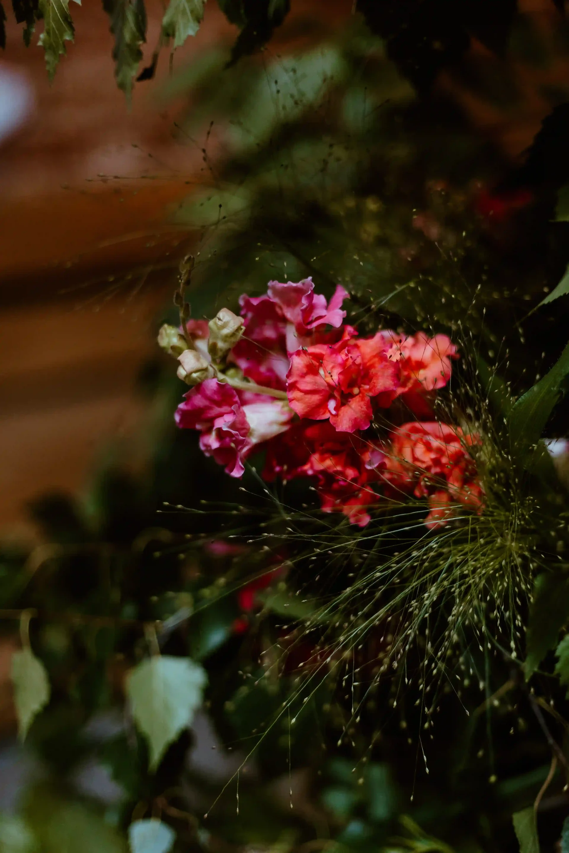 Summer wedding at Woolas Barn 30