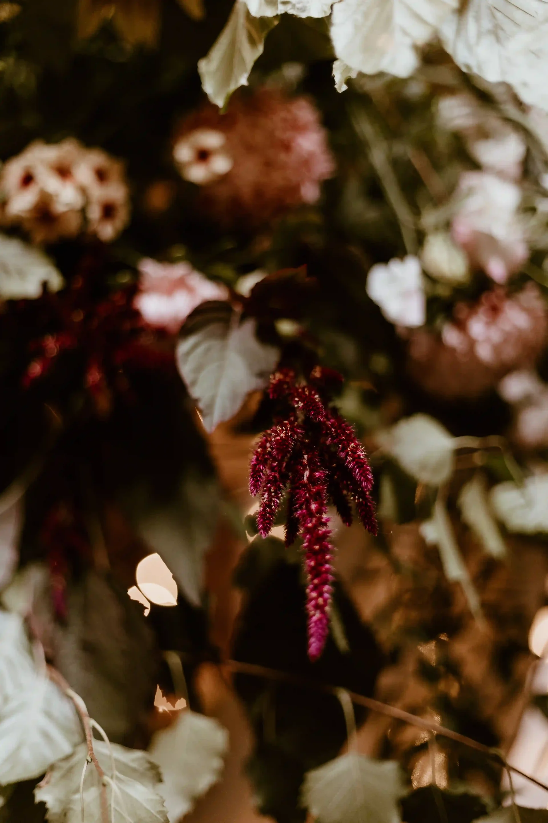 Summer wedding at Woolas Barn 31
